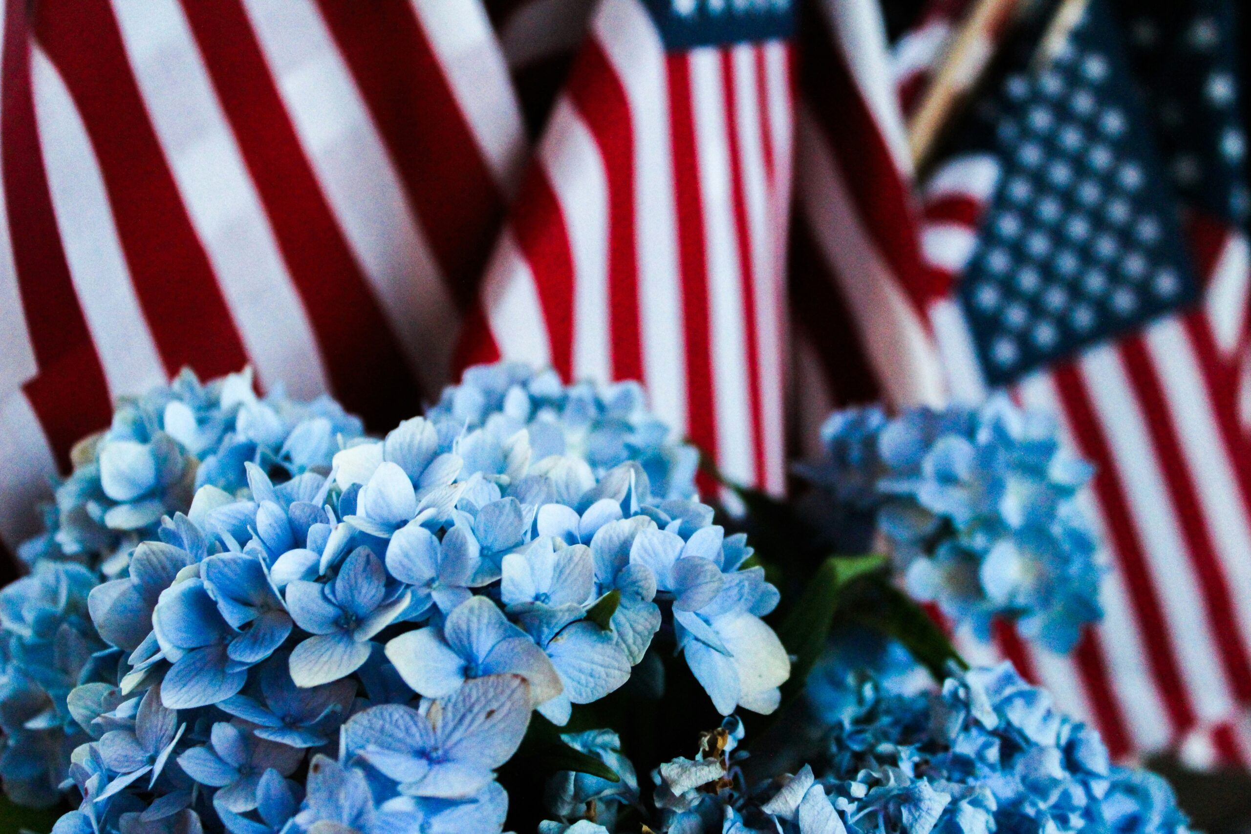 Seven Days That Made America