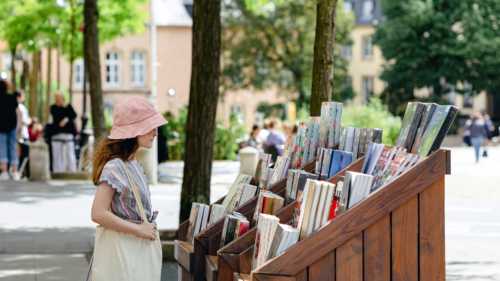 sponsorship opportunities printers row lit fest